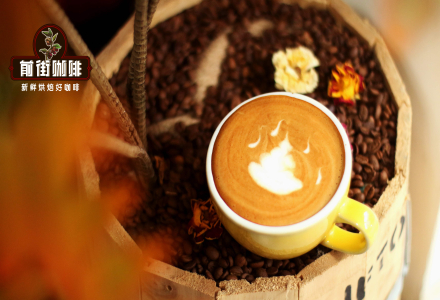 How Many Types of Milk-Based Espresso Drinks Exist? How to Differentiate the Preparation Methods of Latte, Flat White, and Cappuccino?