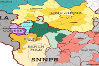 Introduction to Ethiopian Coffee - Bench Maji Natural Gesha Coffee from Bench Maji Coffee Region