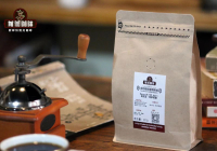 Pour-Over Brewing Method and Extraction Steps for Kenyan Coffee Beans - Flavor Characteristics and Coffee Variety Grading Introduction