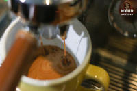 What Do Italian Espresso Blends and SOEs Mean? Which Tastes Better for Americano: SOE or Blend Beans?