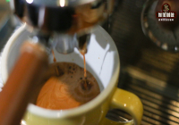 What Do Italian Espresso Blends and SOEs Mean? Which Tastes Better for Americano: SOE or Blend Beans?