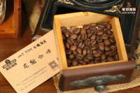 Horse Champion Coffee Bean Origin Introduction and Flavor Characteristics Description - What's the Difference Between New Horse Champion Coffee Beans and Horse Champion 6.0