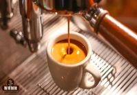 Why is the Espresso Brew Ratio Strictly 1:2? Must 18g of Coffee Extract Exactly 36ml?