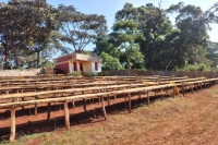 An Introduction to the Hand-Drip Flavor Characteristics of Ethiopian Yirgacheffe GOTITI Processing Station Goting Goting Coffee Beans