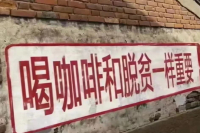 Is There Really a Future for Baristas! Is High Income Possible in the Coffee Industry?!