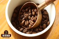 Can You Eat Coffee Beans Directly? What Do Coffee Beans Taste Like? What Does Golden Cup Extraction Mean?