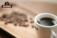 Characteristics and Story of Starbucks Sumatra Coffee Beans - Flavor Differences Among Starbucks Single-Origin Coffee Varieties