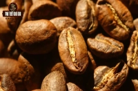 Unveiling Panama Geisha: The Legendary Story Behind the World's Most Expensive Coffee! What's the Difference Between Panama and Ethiopian Geisha?