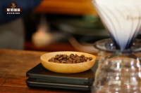 Panama Geisha|Hacienda La Esmeralda's New Blue Label Geisha_Las Rocas Volcanic Rock Geisha Flavor Introduction