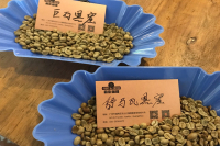 What is Honey Processing? Detailed Introduction to the Process and Flavor Characteristics of Black Honey Processed Coffee Beans