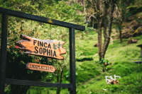 Sophia Estate Background and the Flavor Profile of Its Most Expensive Super Geisha Premium Coffee Beans