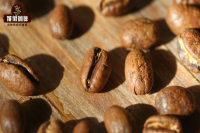 What are Kenya PB Peaberries: Flavor Differences between PB and AA Grade Kenyan Coffee Beans