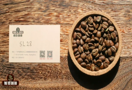 What is the Quality Tier of Kenyan Coffee? Why Does Kenyan Coffee Have Cherry Tomato Notes? What is the SL28 Coffee Variety?