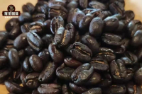 How to Handle Moist and Clumpy Coffee? Can You Still Drink Damp Coffee???