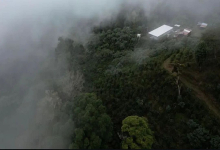 Lamastus Estate's Three Major Farms: Don Pachi Estate Natural Geisha, Elida Estate from Boquete Growing Region, Panama, Baru Volcano Climate Environment
