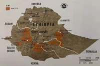 Ethiopian Yirgacheffe Coffee Bean Growing Regions Introduction and Yirgacheffe Coffee Grading System