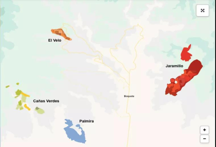 Were Panama Emerald Manor Coffee Beans Initially Geisha? How Are They Graded?