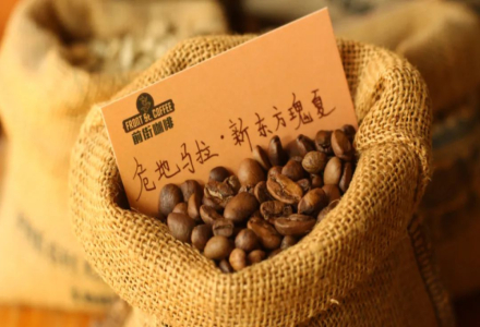 How Does the Honey Processed Geisha from Guatemala's New Oriente Region Perform?