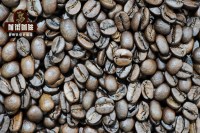 Why Coffee Beans Need Roasting: Flavor Differences Between Light and Dark Roasted Yirgacheffe Coffee Beans