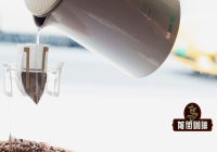 Is Drip Bag Coffee Specialty Coffee? Is There a Big Difference Between Drip Bag Coffee and Pour-Over Coffee?