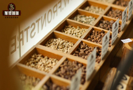 A Comprehensive Guide to Global Coffee Bean Grading Systems and Coffee Origin Green Bean Classification Standards