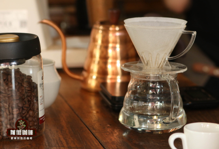 Flavor Profile, Characteristics, and Grades of Brazilian Specialty Coffee Beans: A Tasting Guide to Arabica Santos Black Coffee