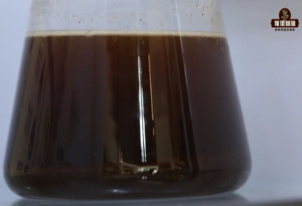 How Long Should Cold Brew Coffee Steep? A Guide to Grind Size and Water-to-Coffee Ratio