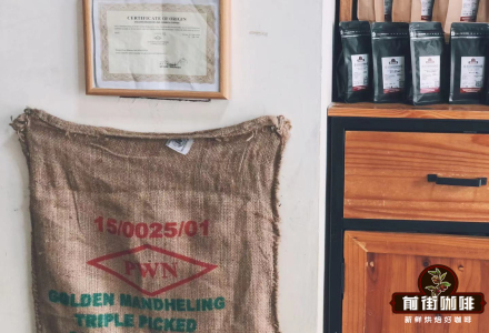 Geisha Coffee Beans｜Introduction to Ethiopia's Geisha Village Premium Coffee Bean Growing Regions_Is Geisha Coffee Originally from Panama?