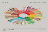 Understanding the Coffee Flavor Wheel: Essential Guide to Specialty Coffee Culture and 2023 SCAA Coffee Flavor Wheel HD Chart