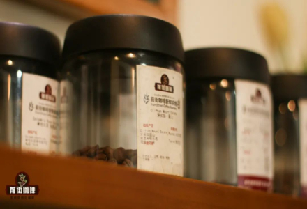 Why Do They Say Most Blue Mountain Coffee in China Is Fake? Only Japanese Blue Mountain Coffee Is Real?