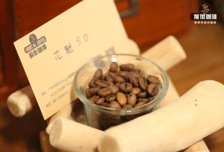 What is Horseman 6.0 Coffee Bean? How to Brew Full Juice Flavor from Sidamo Horseman Coffee?