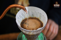 Pour-Over Coffee Brewing Time Guide: How Long to Brew a Perfect Cup