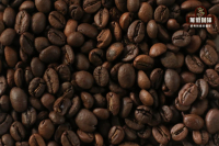 Coffee Bean Varieties: Robusta Coffee Beans