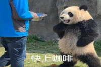 How Long Should Pour-Over Coffee Brew for the Best Taste - Tutorial on Single-Origin Coffee Bean Parameters: Grind, Water Temperature, Ratio, and Technique