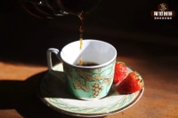 Panama Geisha vs. Ethiopia Geisha: Flavor Characteristics of Coffee Beans and What Makes a True Geisha