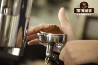 How Can Coffee Beginners with No Experience Enter the Coffee Industry and Become Baristas?