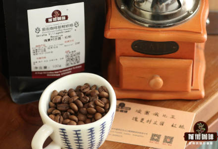What Variety is Panama Geisha Coffee Bean? Are Panama Geisha Coffee Beans Expensive?