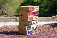 How to Brew Geisha Coffee Beans? What is Geisha? Key Considerations for Roasting Geisha and Pour-Over Coffee Brewing Essentials!