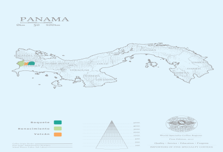 Introduction to Panama's Premium Coffee Growing Regions: Did the Geisha Variety Originate from Panama?