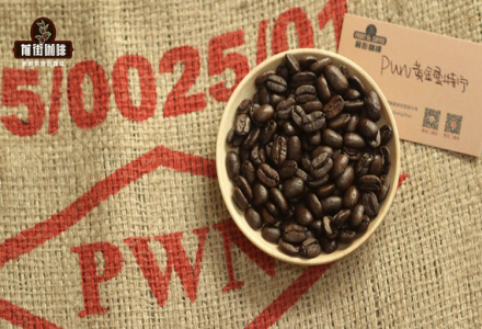 Which Region Has the Best Coffee in Indonesia: A Flavor Comparison Between West Java Coffee and Mandheling Coffee