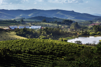 Brazil | Introduction to the Coffee Region of Minas Gerais