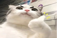 How Long Should Hand-Drip Coffee Extraction Take? What's the Normal Extraction Time for Pour-Over Coffee? Must the Brewing Time Be Exactly Two Minutes?