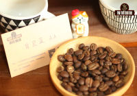Kenya Coffee Bean Grading System Kenya AA TOP Grade Coffee Flavor and Taste Description