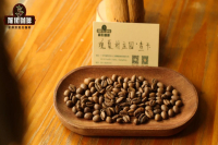 Ethiopian Gesha Village Estate Brand - CHAKA Sun-Dried Gesha: What Does It Taste Like?