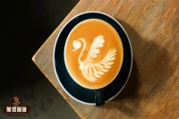 How to Make Latte Coffee? Step-by-Step Guide to Latte Preparation! What's the Best Milk for Latte? Which Coffee Beans Are Ideal for Milk Coffee?