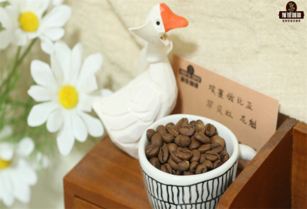 Pour-Over Coffee: A Guide to the Guava Variety - Flavor Profile and Tasting Notes