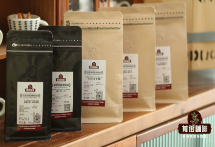 What is Coffee Bean Resting and How to Rest Coffee Beans: Beginner's Guide