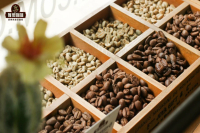 What Coffee Varieties Are Starbucks Coffee Beans and What Are the Characteristics of Various Specialty Coffee Beans?