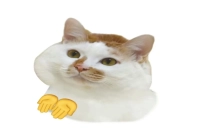 Can Latte Be Brewed with Milk? What Is Milk-Extracted Coffee? What's the Difference Between Milk Extraction and Cold Brew?