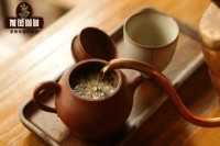 Can an Espresso Machine Be Used to Brew Tea? What Commonalities Do Coffee and Tea Share?